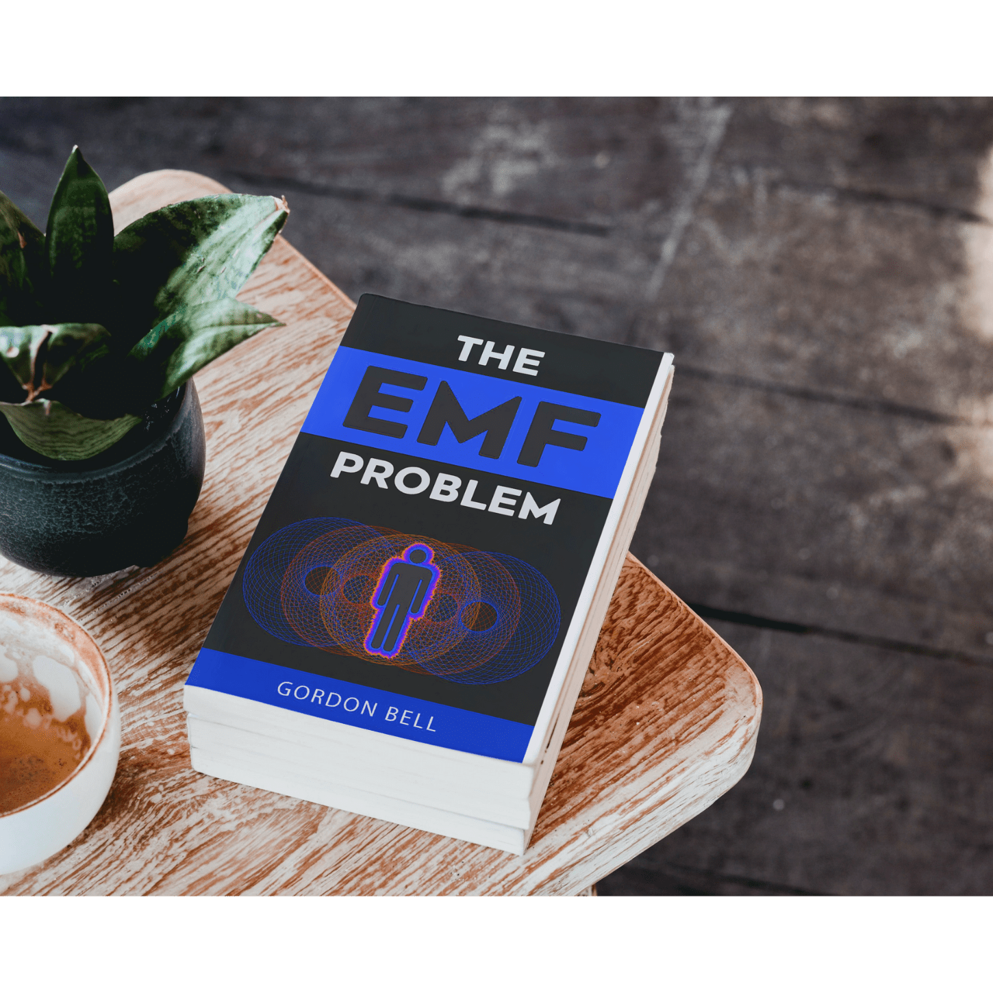 The EMF Problem Book Your Emf Shield 