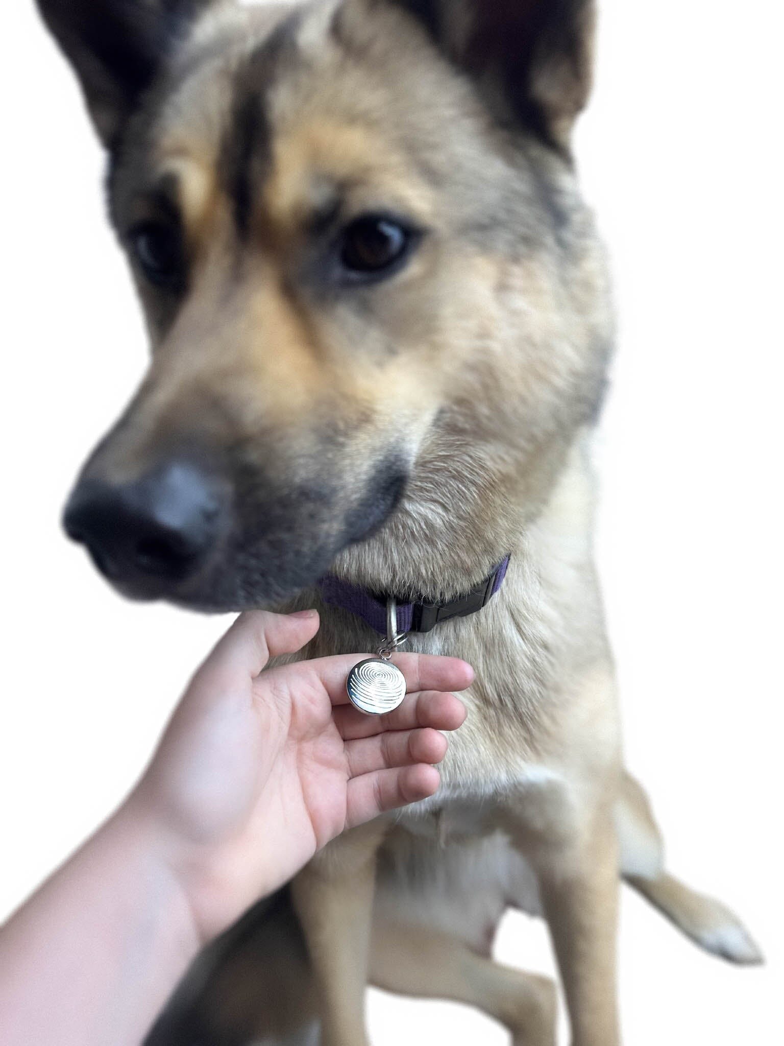 Pet EMF Defense Pendant - DG Your Emf Shield 